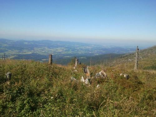 Apartamento Ferienwohnung Felhofer