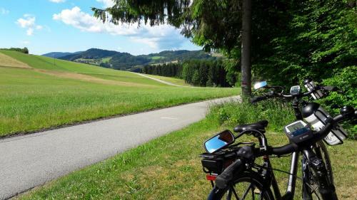 Apartamento Ferienwohnung Felhofer