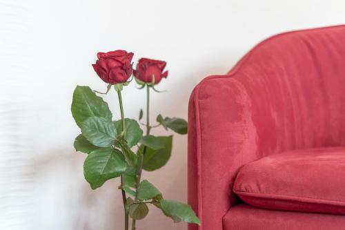 Hostal Apart Wiesengrund