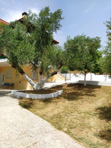 Apartamento Loutro House