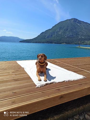 Apartamento Suite Kyra