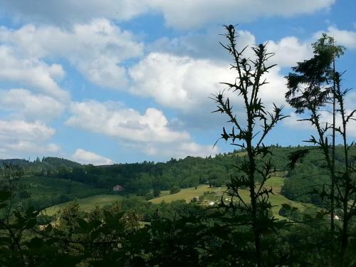 Giteovosges