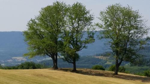 Giteovosges