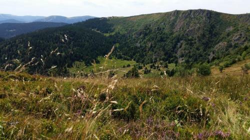 Giteovosges