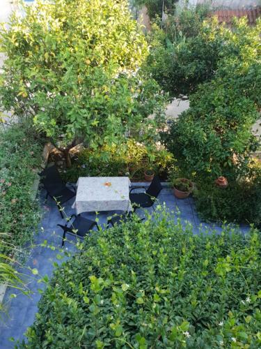 The Jasmine House