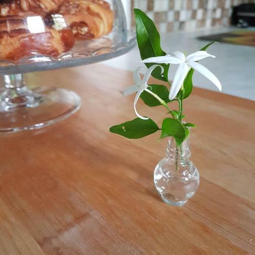 The Jasmine House