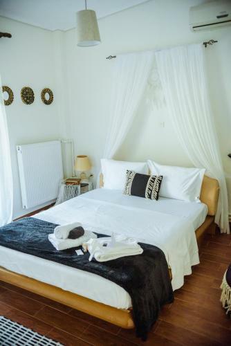Villa Akadimia Luxury Apartment