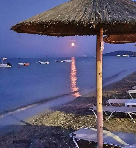 Corfu Olivia Apartments
