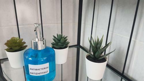 Apartamento Pipi's House