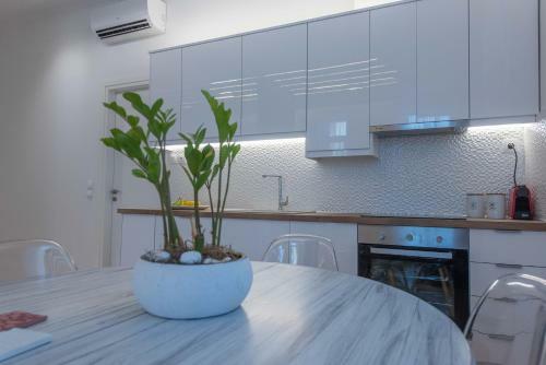 Apartamento 1571_suites A1