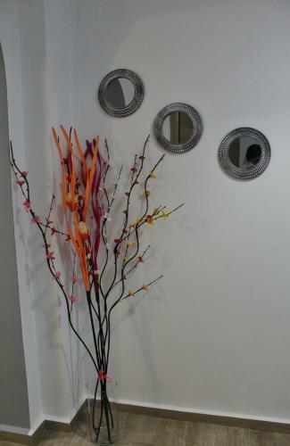 Vaso's Apartment