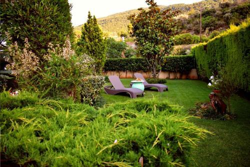 Irene's Comfort Villa