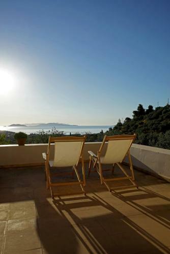 Epidaurus Olive Villa
