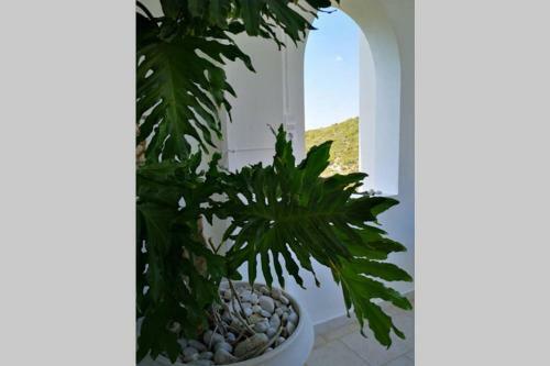 Apartamento Village View