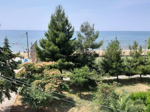 Soula's Sunshine Blue Apartment