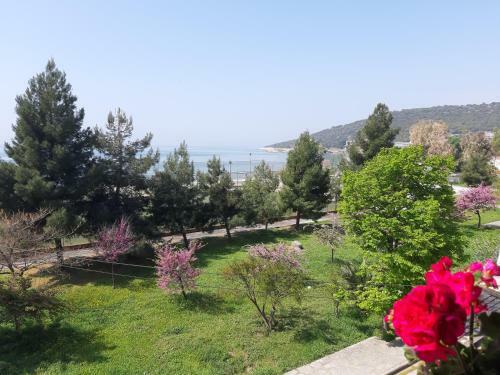 Soula's Sunshine Big Apartment