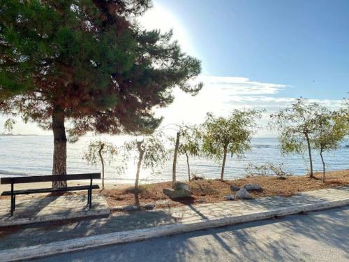 Bed & Breakfast Elgreco By The Sea