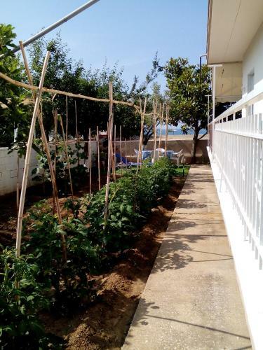Apartamento Iordanis
