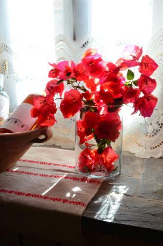 Hostal Apiganos