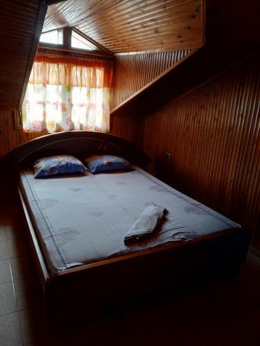 Comfortable Apartment