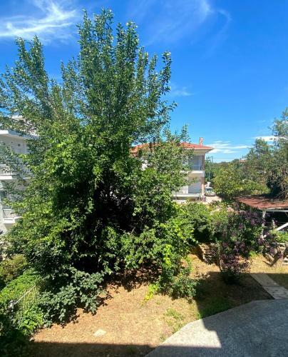 Apartamento Vyron 2 Lusso