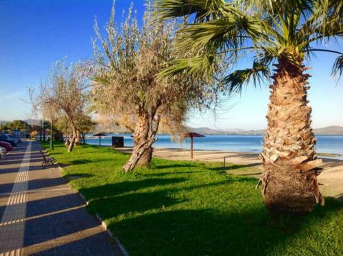 Amomos Villa With Swimming Pool