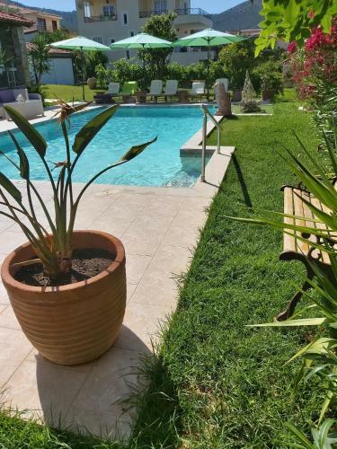 Amomos Villa With Swimming Pool