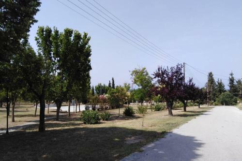 Villa Viktoria Halkidiki