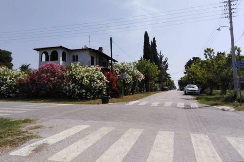 Villa Viktoria Halkidiki
