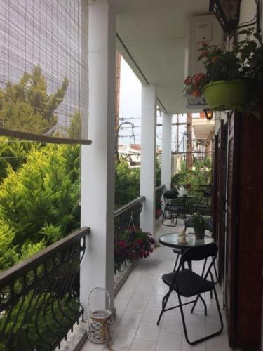 Villa Veneti Suite - Probio - 80m2