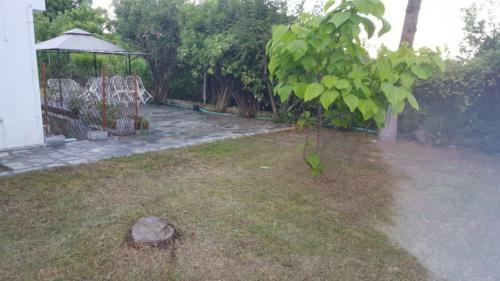 Apartamento Blue Appartment