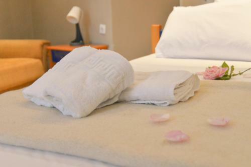 Hotel Mikes