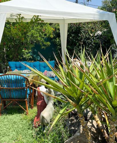 Casa Lia-beach Front Villa