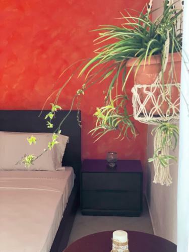 Casa Lia-beach Front Villa