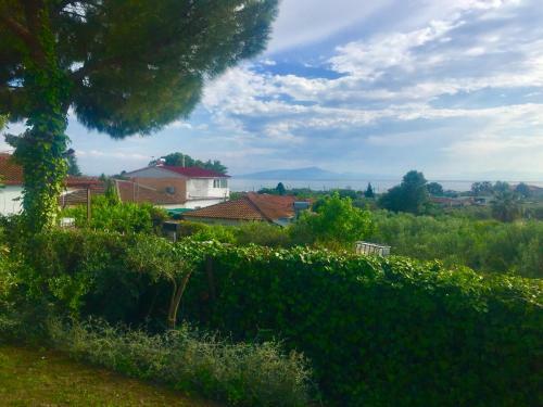 Sea View Villa In Olive Garden