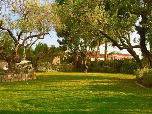 Sea View Villa In Olive Garden