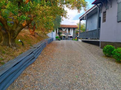 Sea View Villa In Olive Garden