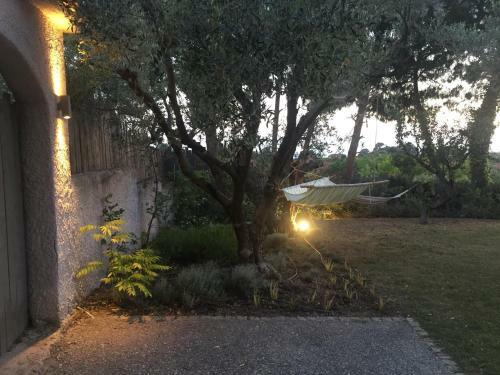 Sea View Villa In Olive Garden