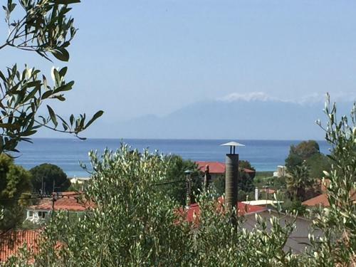 Sea View Villa In Olive Garden