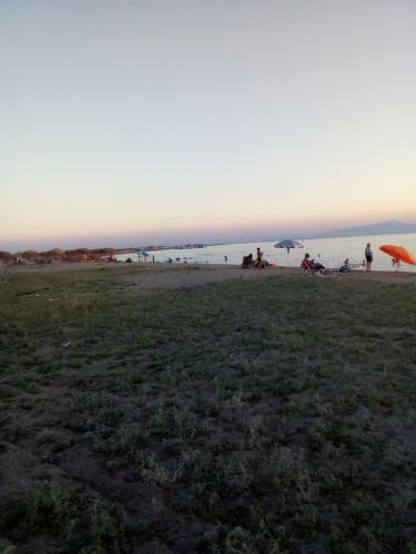 Villa House On The Beach