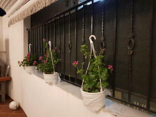 Halkidiki Sea Apartment
