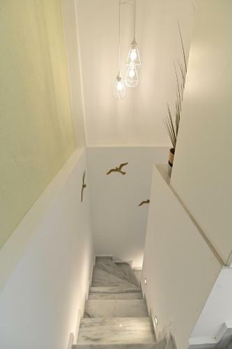 White Coral Luxury Apartments
