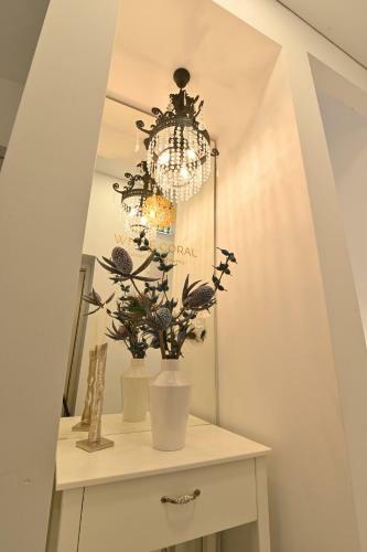 White Coral Luxury Apartments