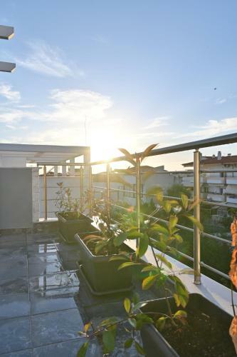 White Coral Luxury Apartments