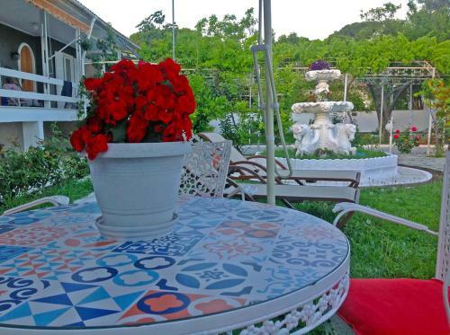 Beautiful Sea Front Villa With 650m2 Garden