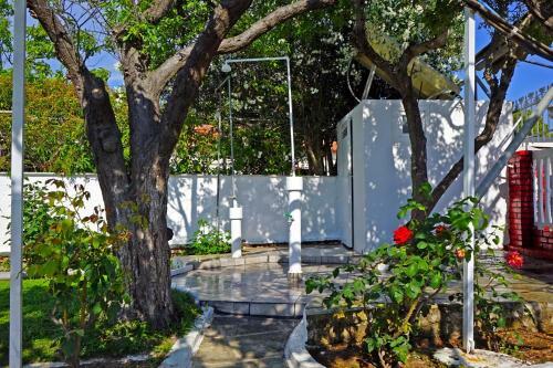 Beautiful Sea Front Villa With 650m2 Garden