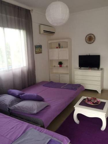 Apartment Vakilis