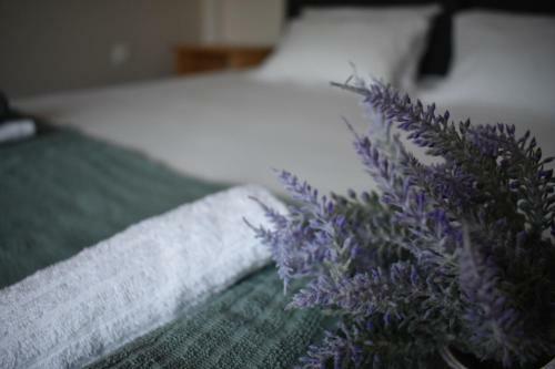 Davidana Deluxe Apartments