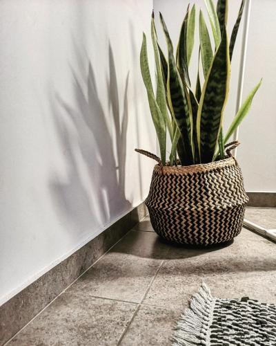 Apartamento Elements Studios