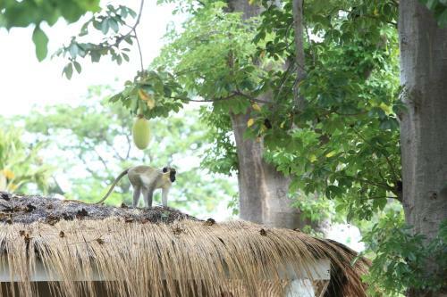 Hotel Les Pal�tuviers